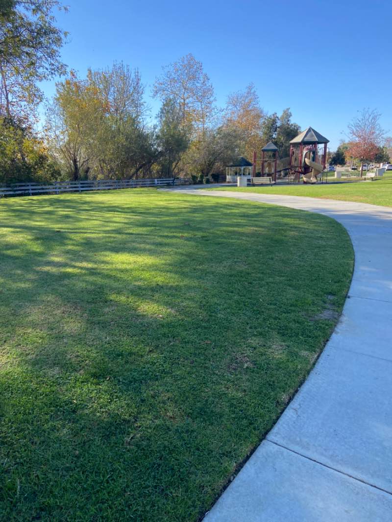 walking near me in Northbank Linear Park in winter