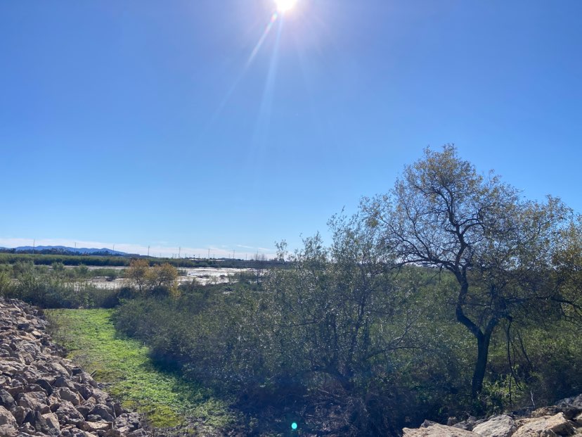walking near me in Northbank Linear Park in winter