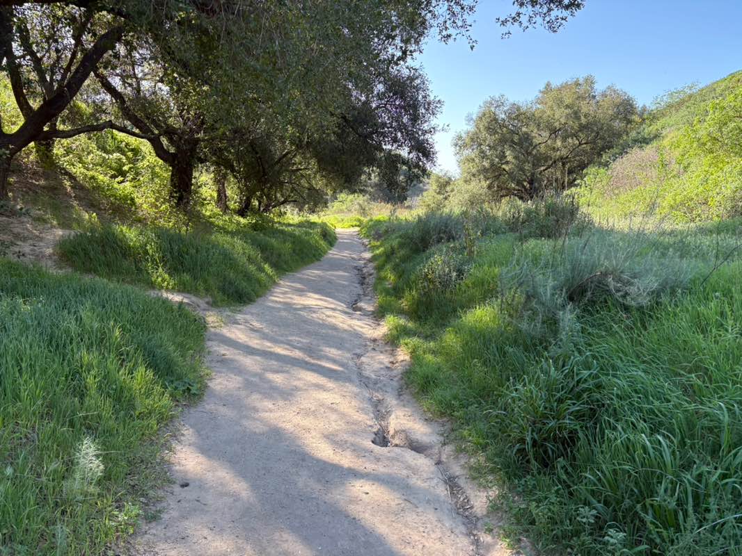 walking near me in Arroyo Verde Park in winter