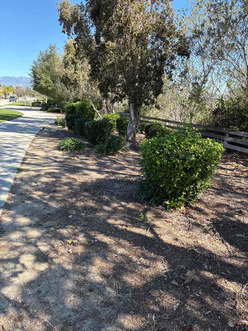 walking near me in Kennebec Linear Park in winter