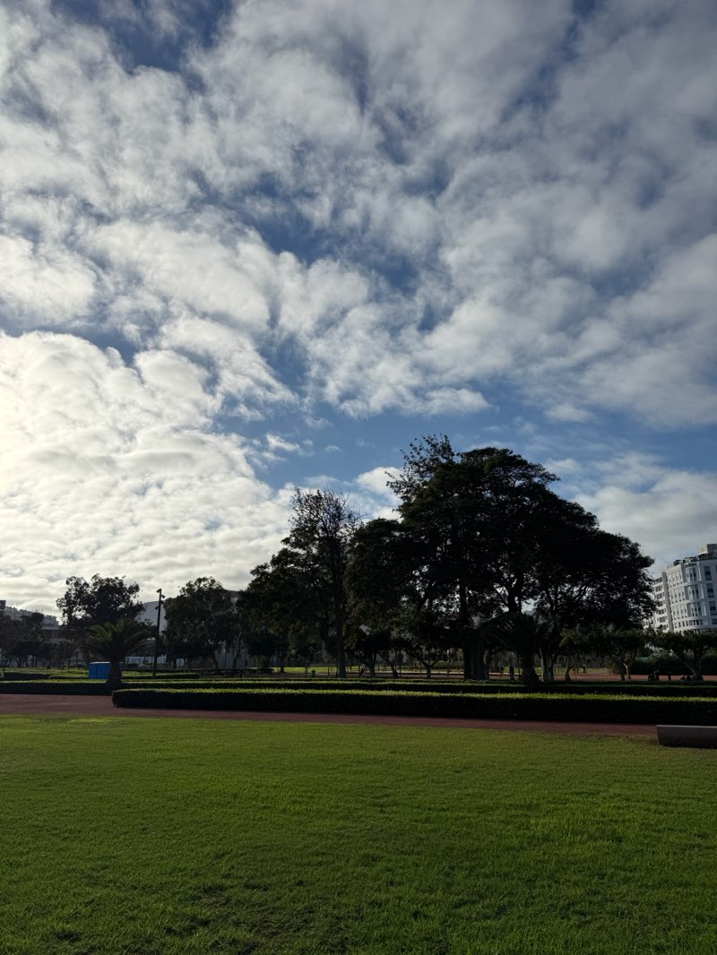walking near me in Jardin de Zerktouni in autumn