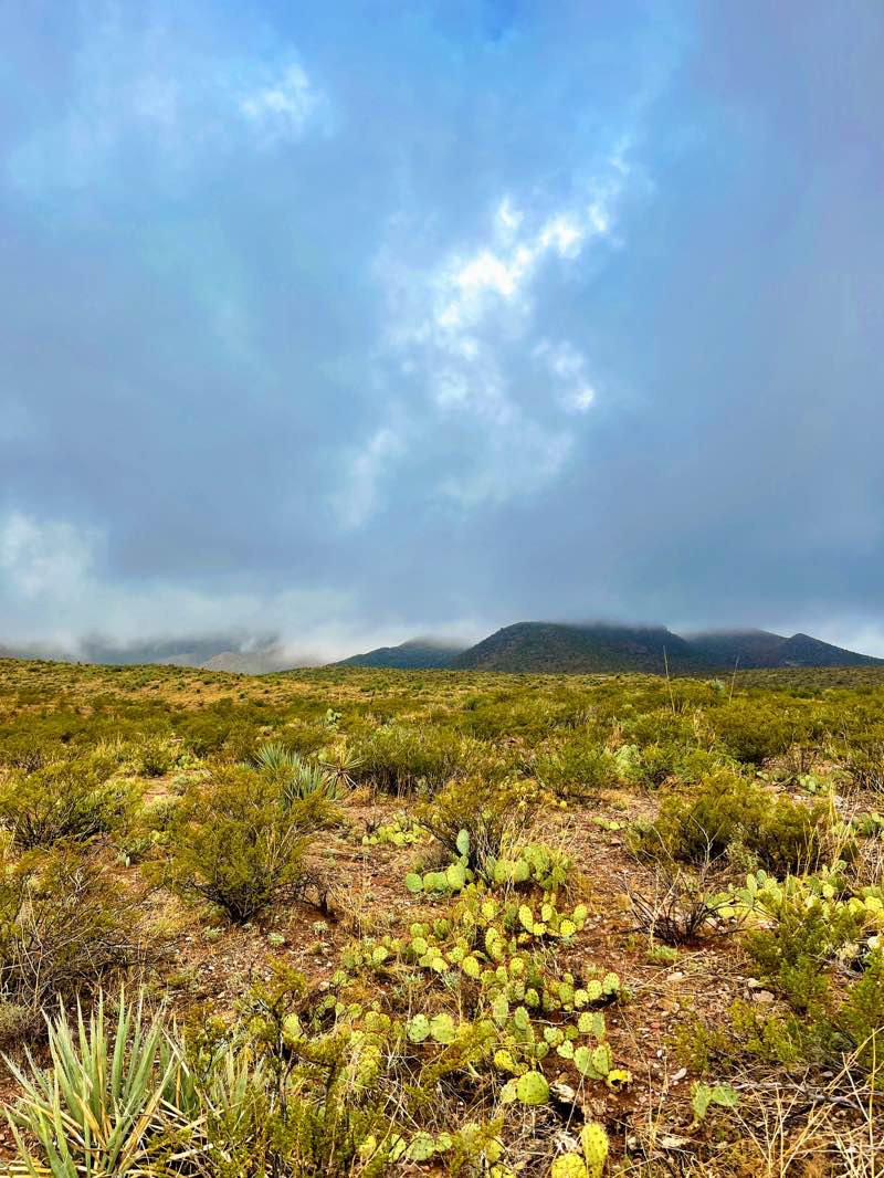 walking near me in Chuck Heinrich Park in winter