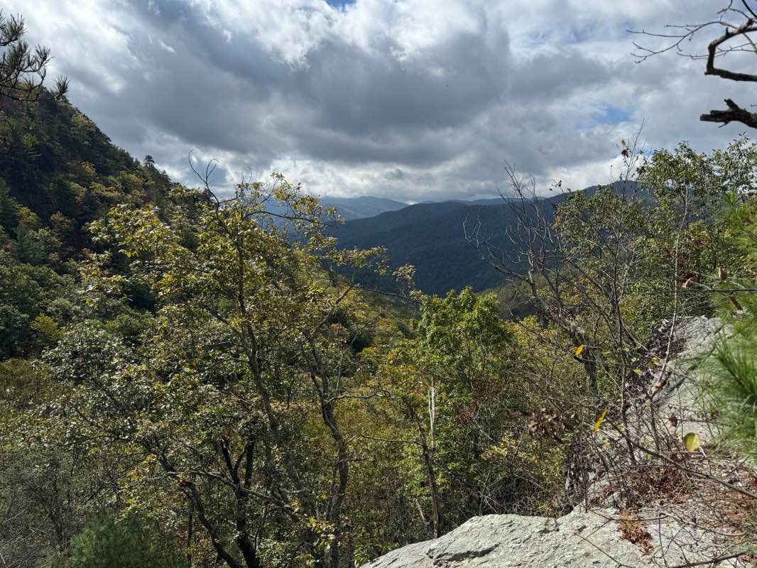walking near me in George Washington National Forest in autumn
