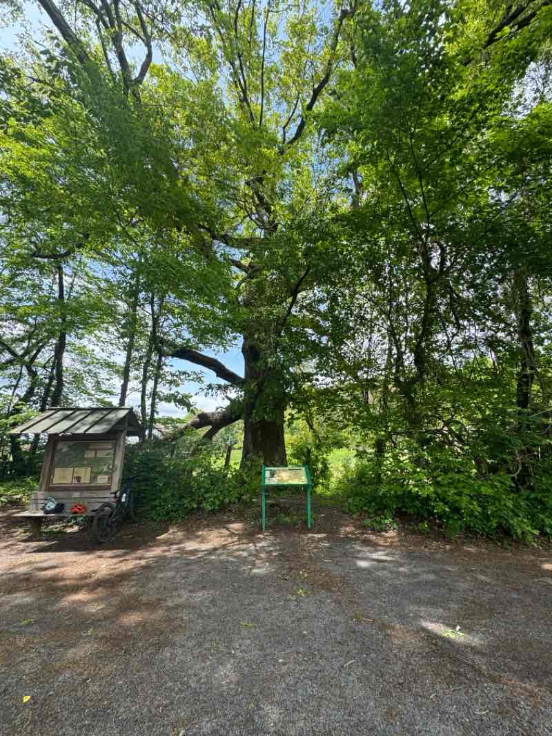 walking near me in The Meadows Sports Complex in spring