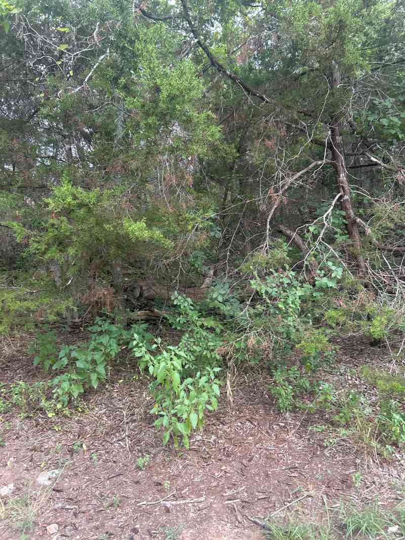 walking near me in Booty Road Park in autumn