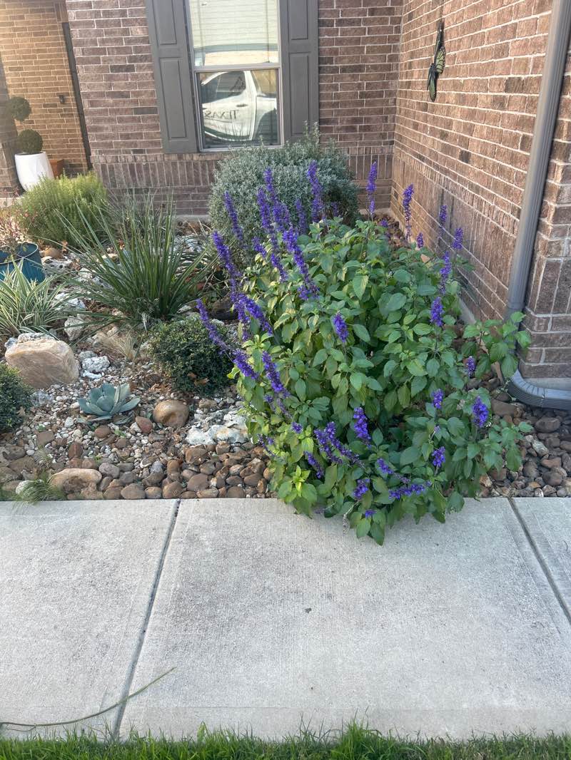 walking near me in Pinnacle Park in winter