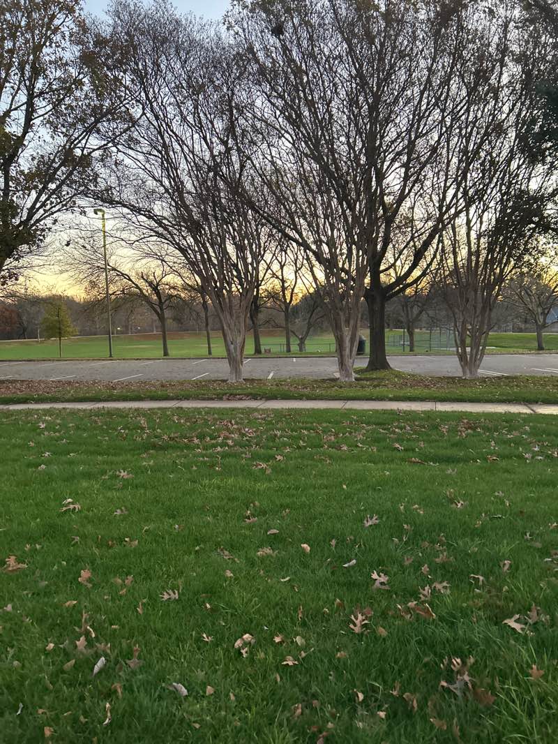 walking near me in Katherine Fleischer Park in winter