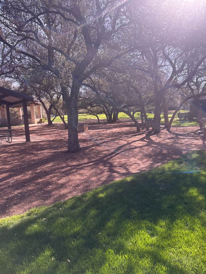 walking near me in Rattan Creek Park in winter