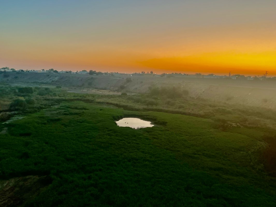 walking near me in parque flores in winter
