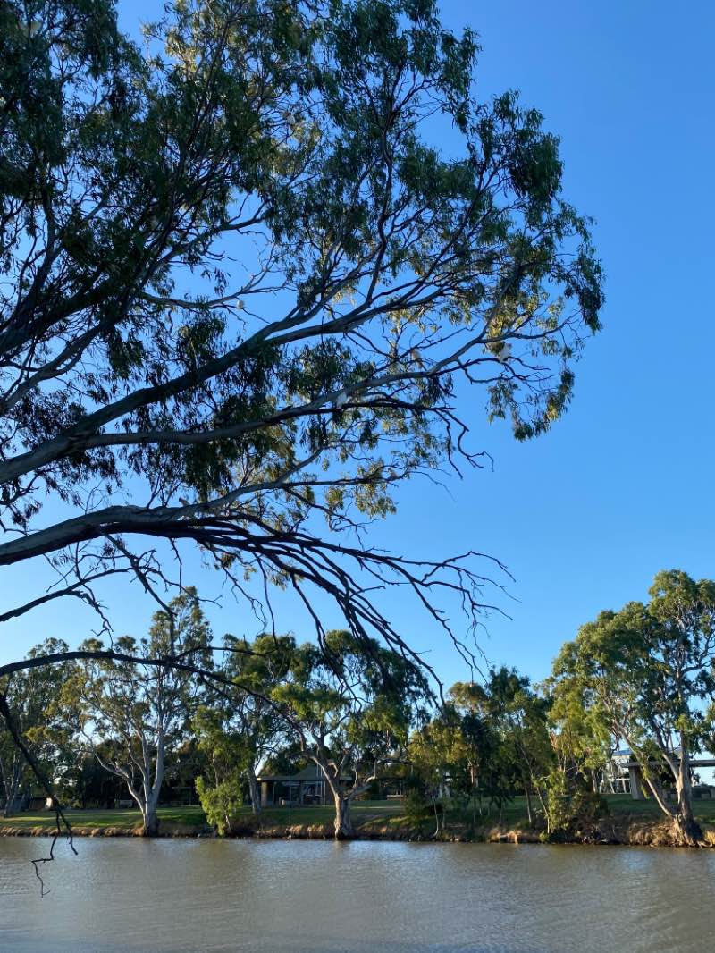walking near me in Wimmera River Water Frontage in summer