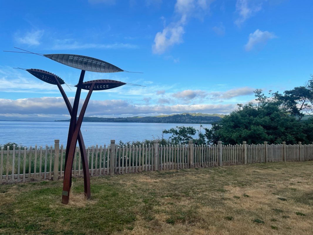 walking near me in Tongariro South Domain in summer
