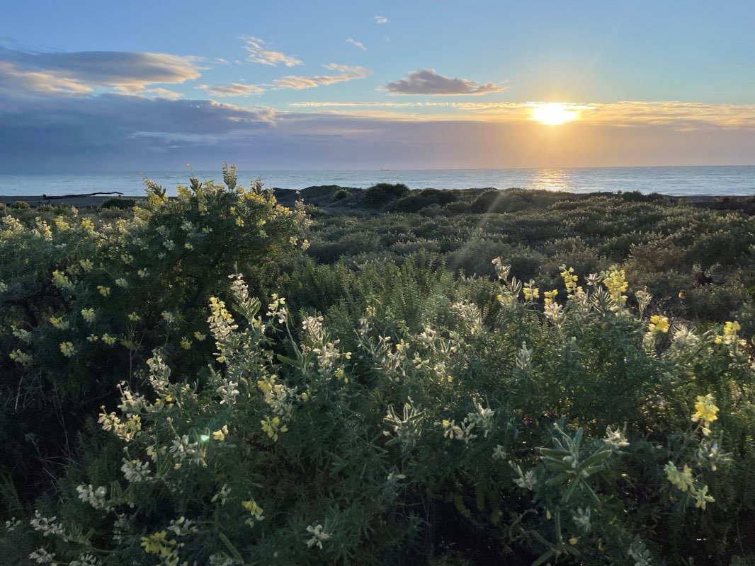 walking near me in Botanic Gardens in spring