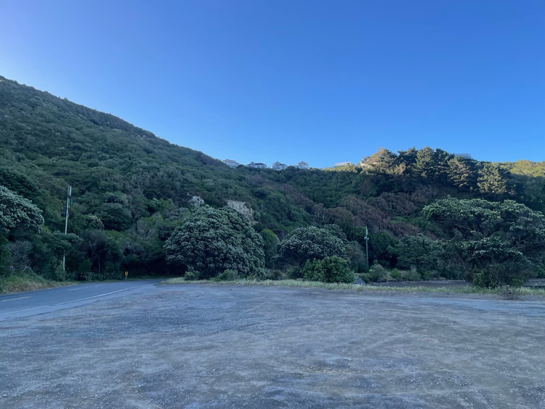 walking near me in Waitangi Park in spring