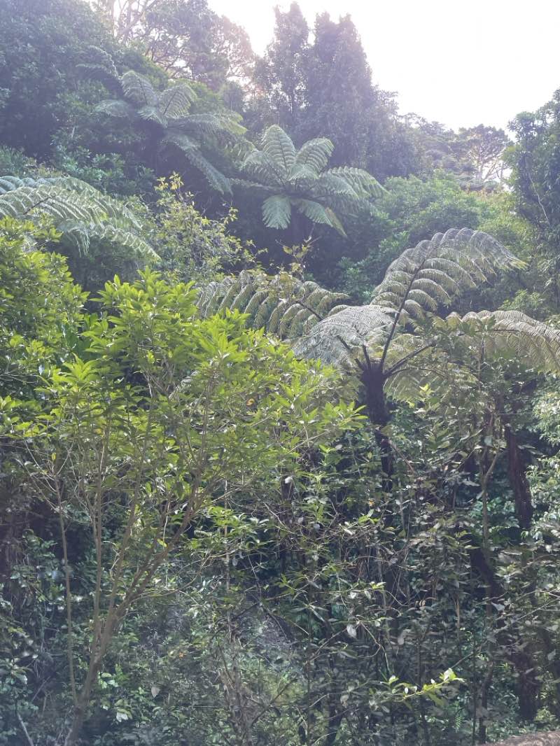 walking near me in Bolton Street Memorial Park in autumn
