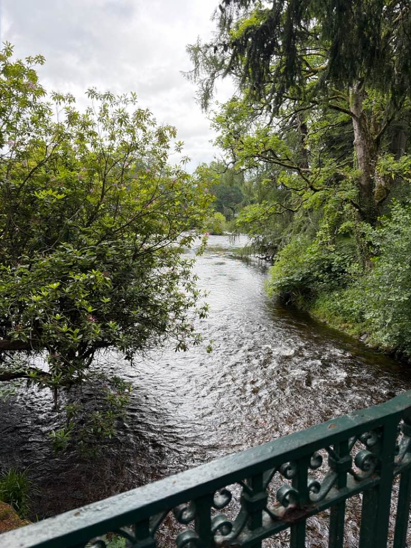 walking near me in Whin Park in summer
