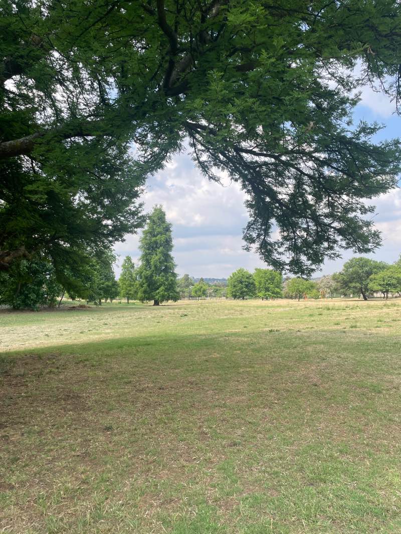 walking near me in Hamilton Park in spring