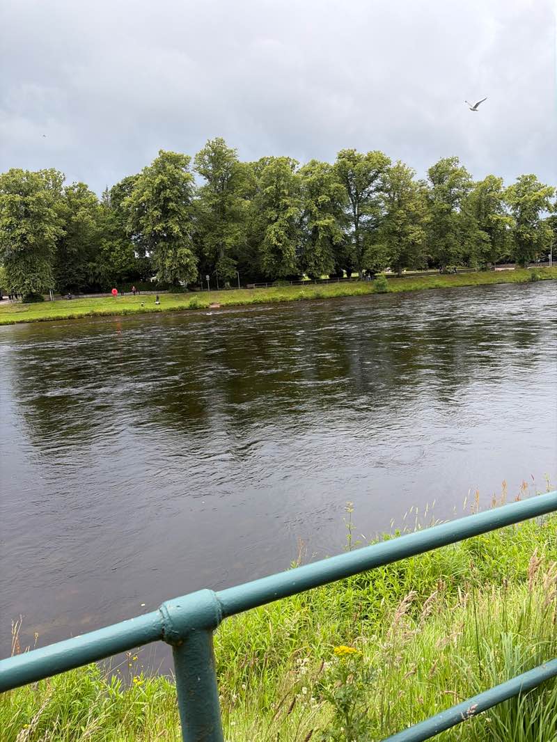 walking near me in Bellfield Park in summer