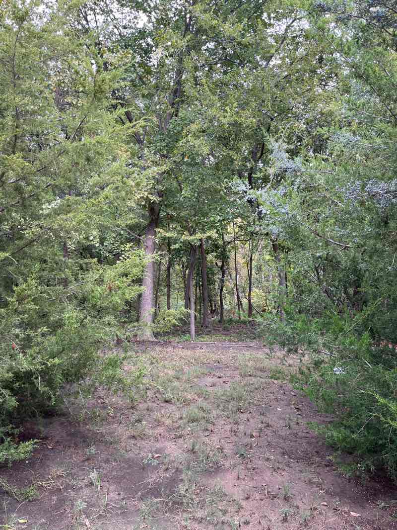 walking near me in Cottonwood Creek Greenbelt Park in autumn
