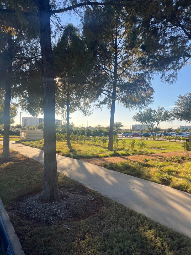 walking near me in Salazar Park in autumn