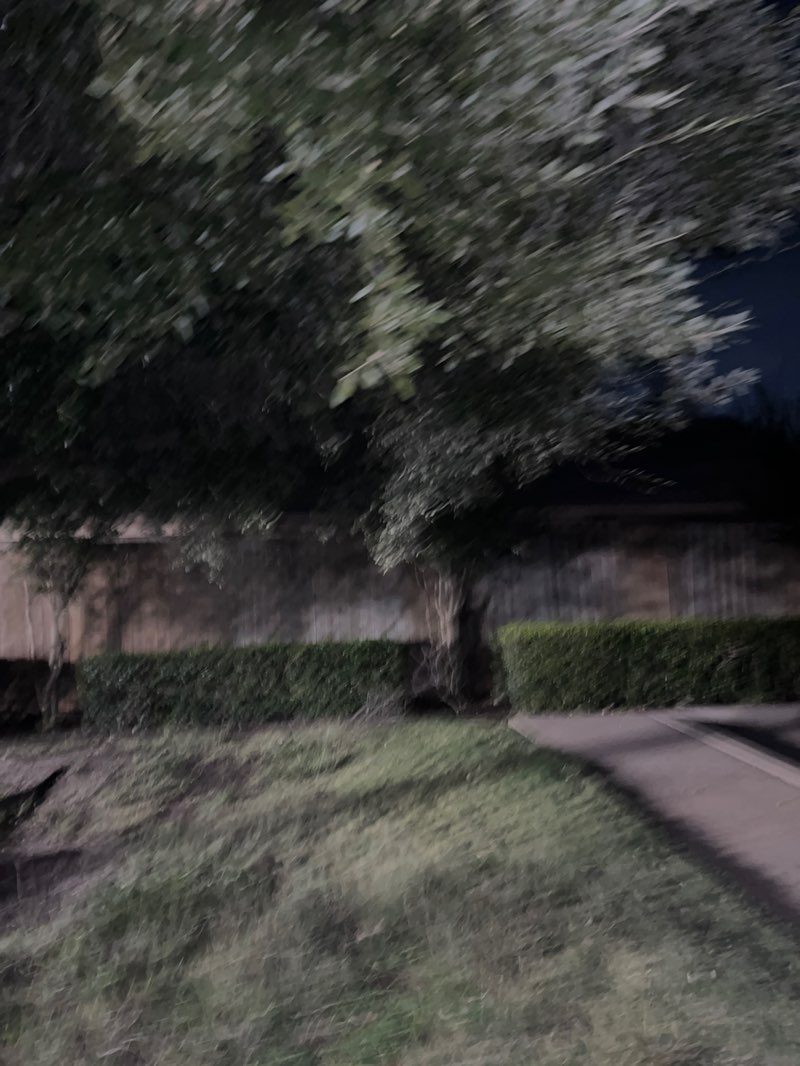 walking near me in Harriet Creek Park in autumn