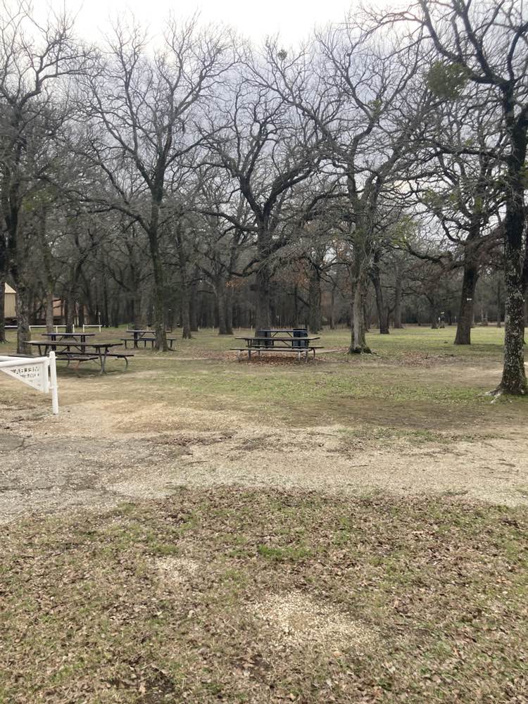 walking near me in Melba Doyle Park in winter