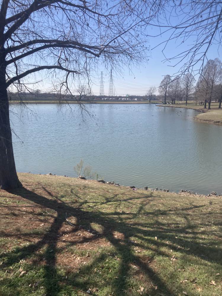 walking near me in Ken Good Park in winter