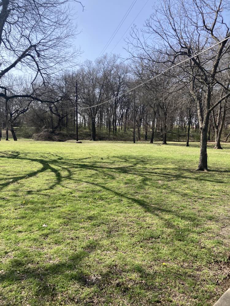 walking near me in Friendship Park in spring