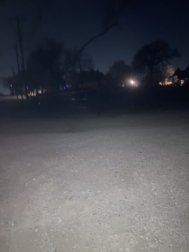 walking near me in Northeast Park in spring