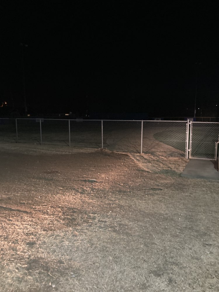 walking near me in Harmon Park in spring