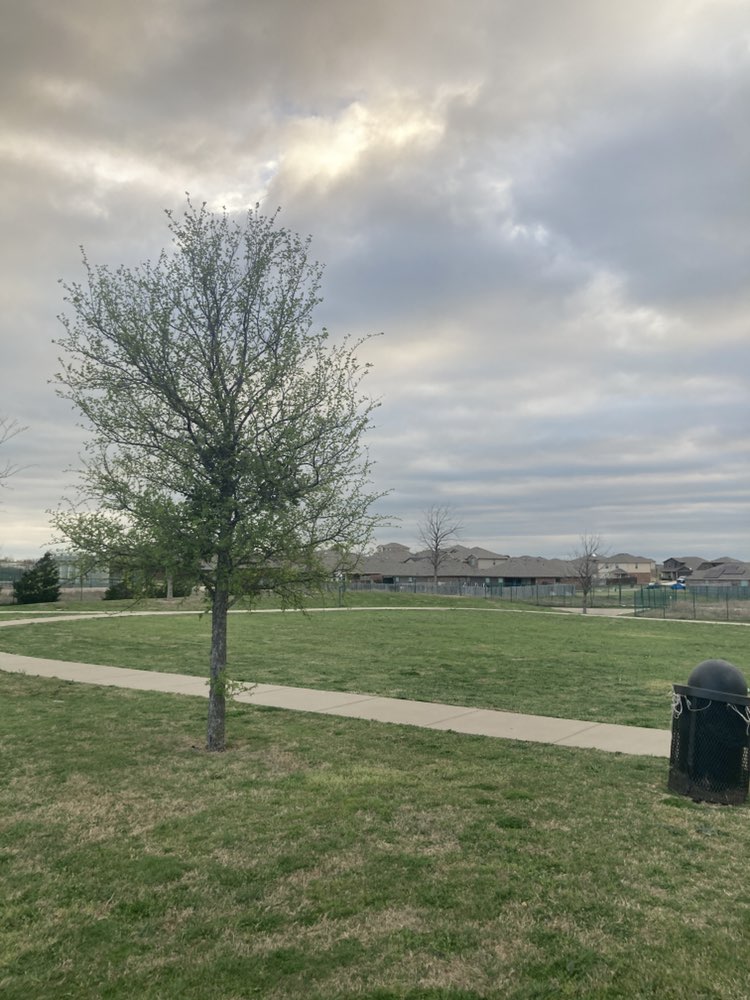 walking near me in Remington Park in spring