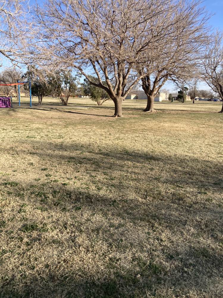 walking near me in Mahon Park in spring