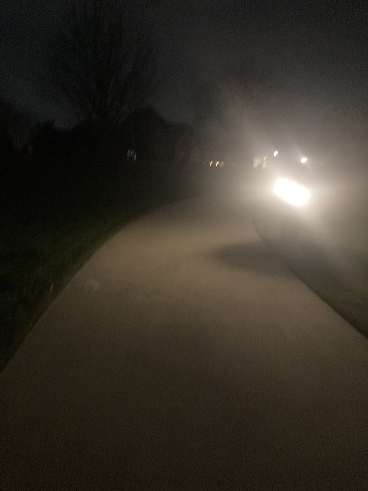 walking near me in Milestone Park in spring