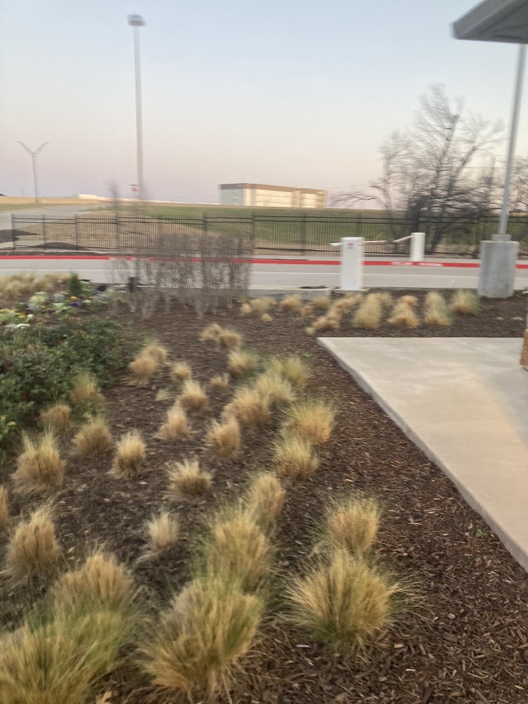 walking near me in Paycom Park in spring