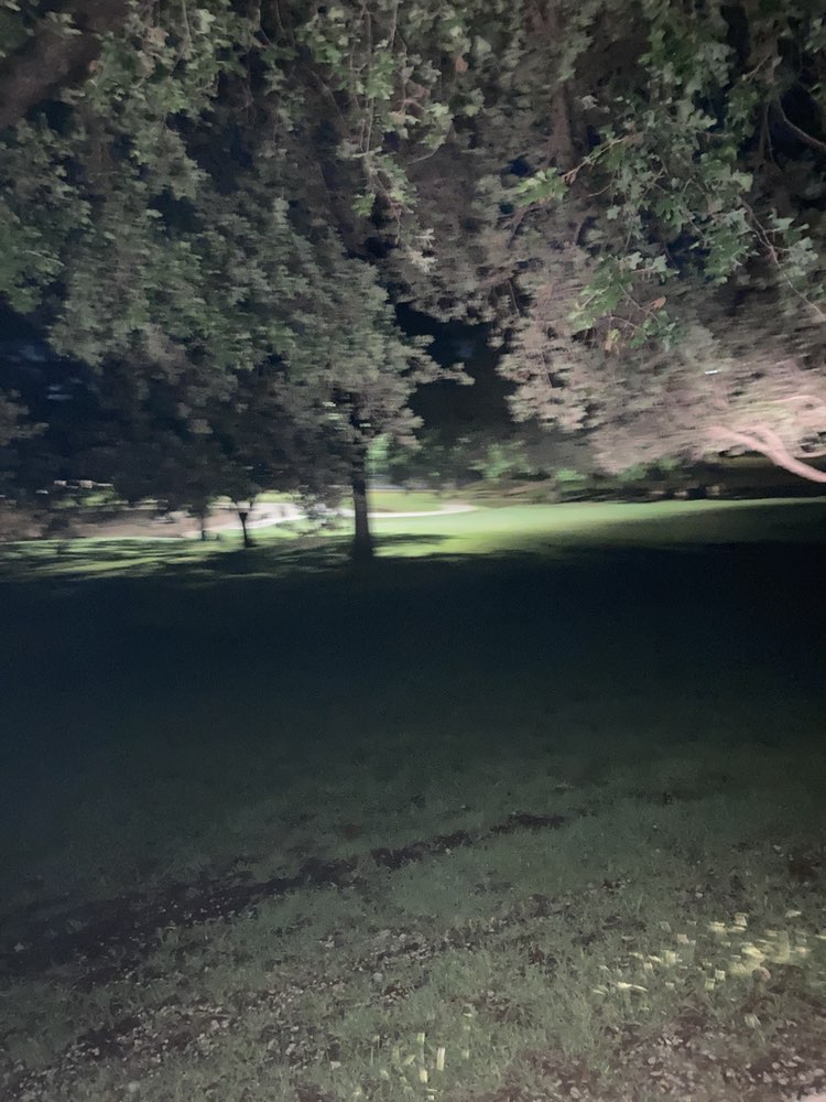 walking near me in McKenna Park in spring