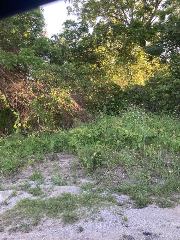 walking near me in Kenny Renshaw Park in spring