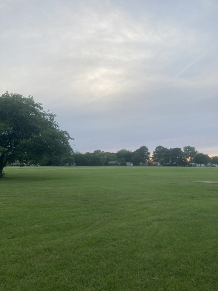 walking near me in Lake Dallas City Park in spring