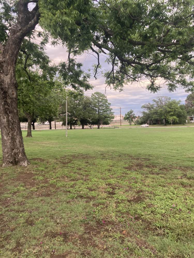 walking near me in Joe Skiles Park in spring