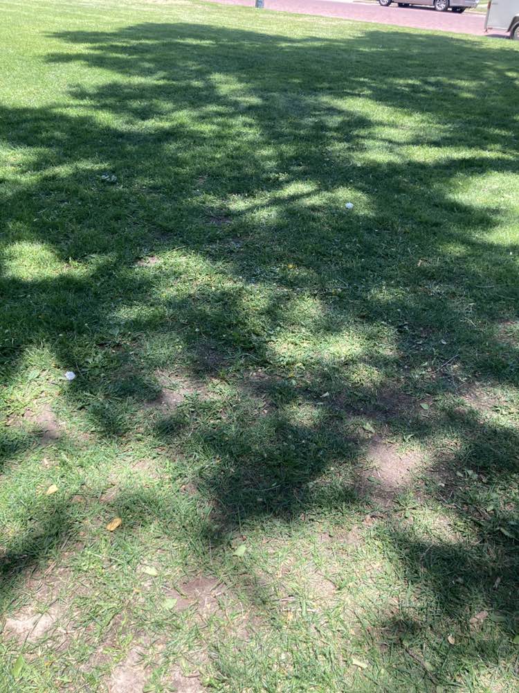 walking near me in Veteran's Memorial Park in summer