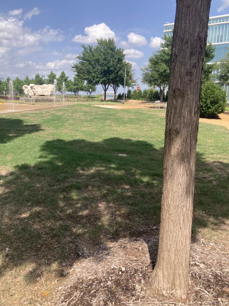 walking near me in Pena Park in summer