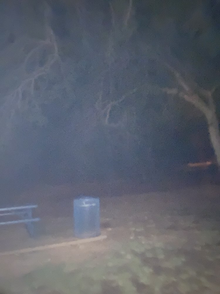 walking near me in Del Santer Park in summer