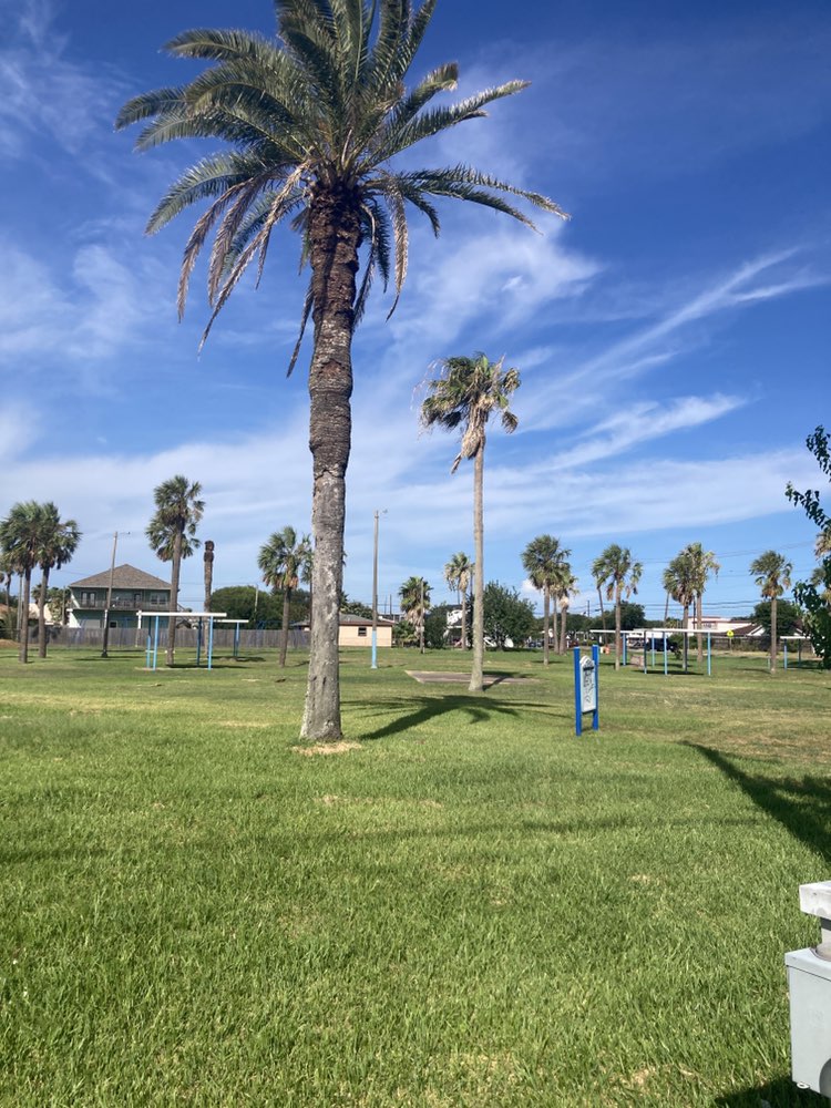 walking near me in Jones Park in autumn