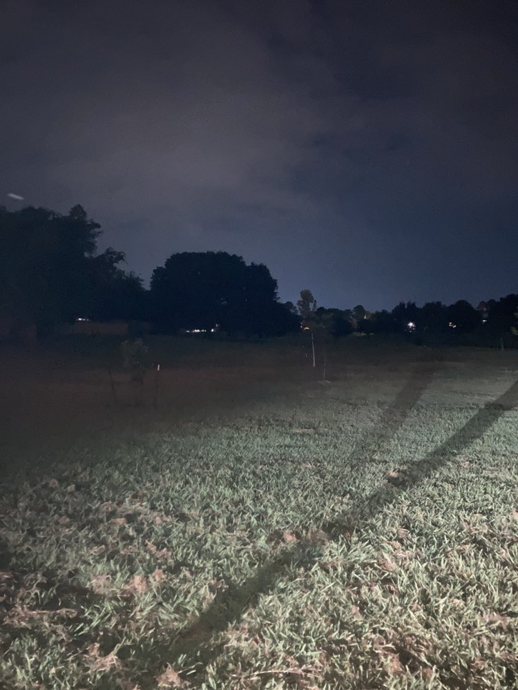 walking near me in Fox Creek Greenbelt Park in summer