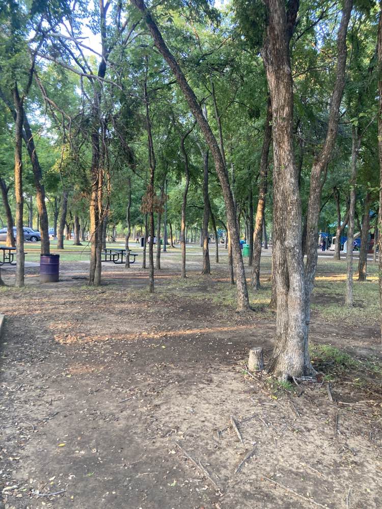 walking near me in Central Park in autumn