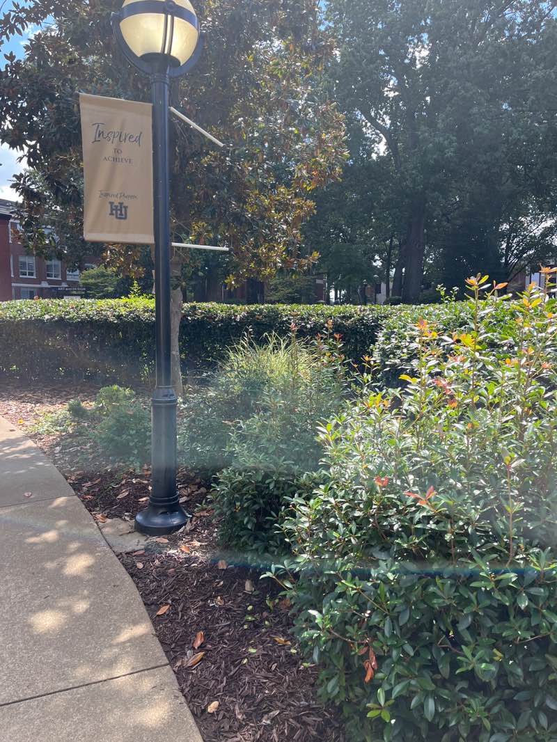 walking near me in Front Lawn in autumn