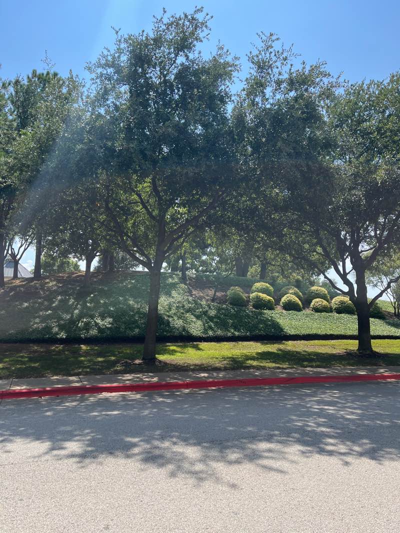 walking near me in Summit Park in autumn