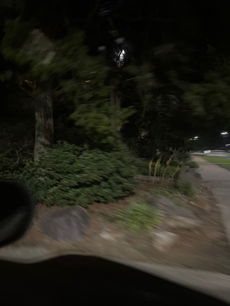 walking near me in Bison Park in autumn