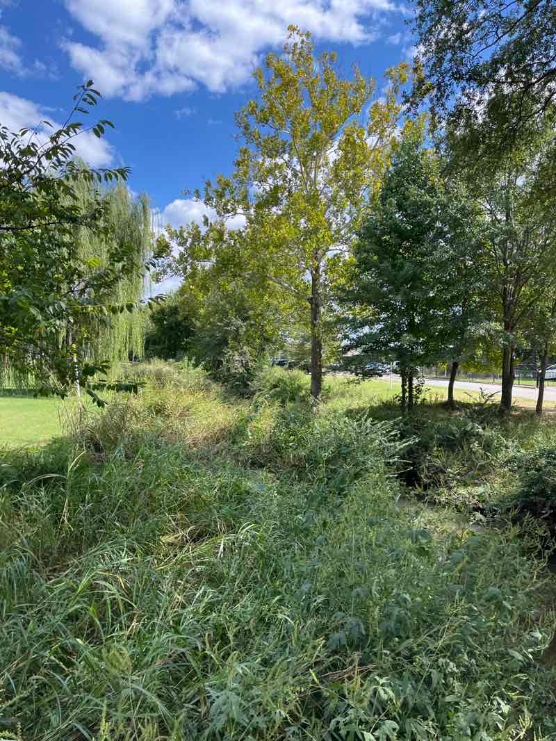 walking near me in Nicholas Smith Recreation Area in autumn