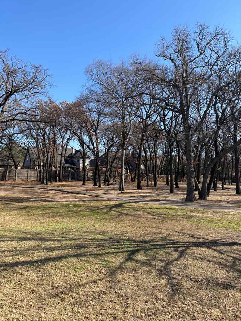 walking near me in Shadow Glen Park in winter
