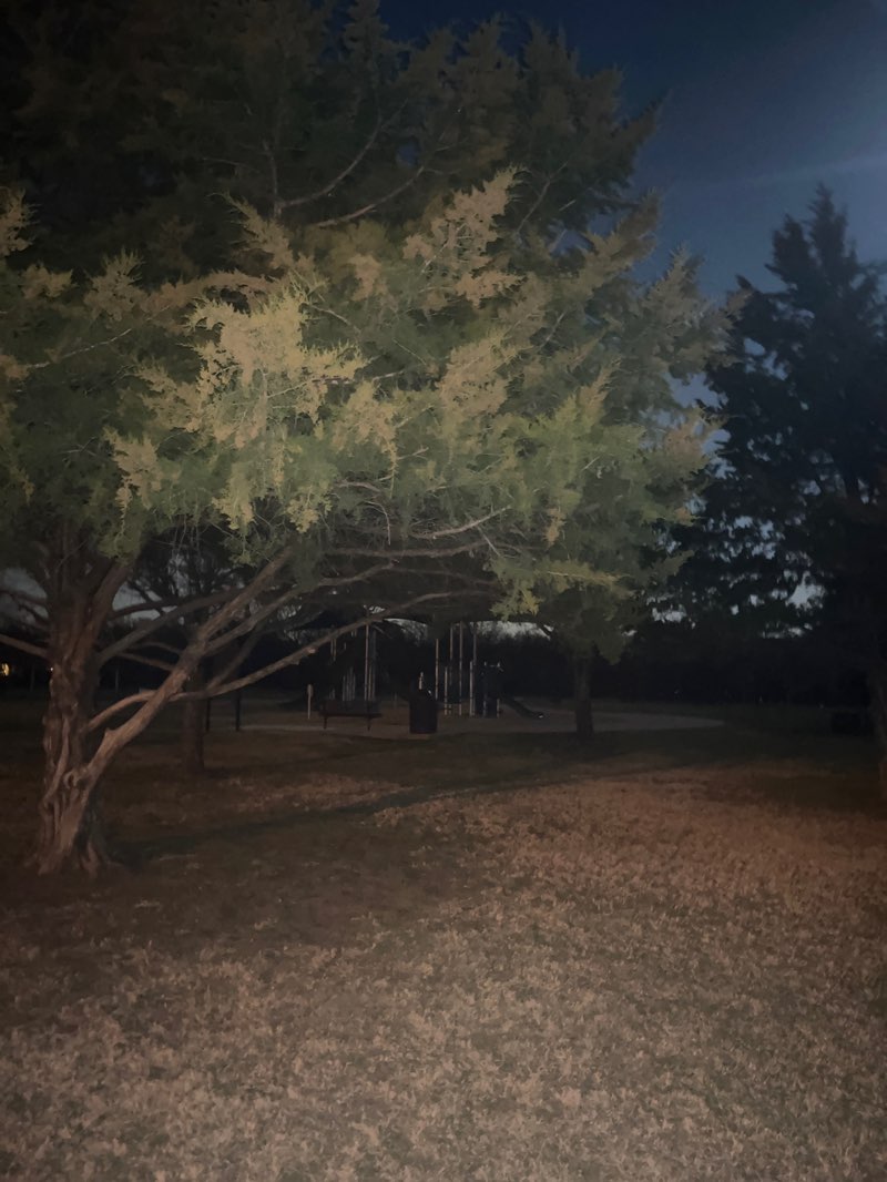 walking near me in Tommy & Sue Brown Park in spring