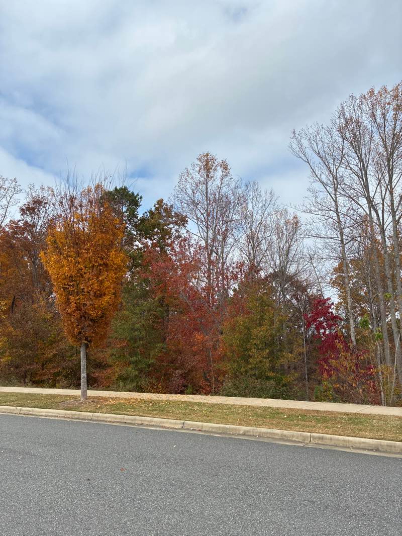 walking near me in Hanna Park in autumn